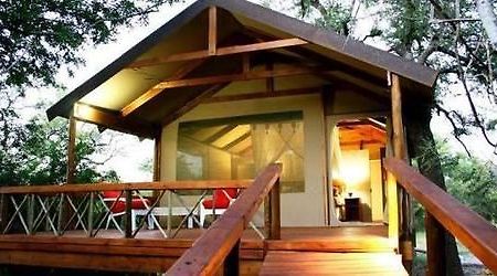Lion Tree Top Lodge Hoedspruit Exteriör bild