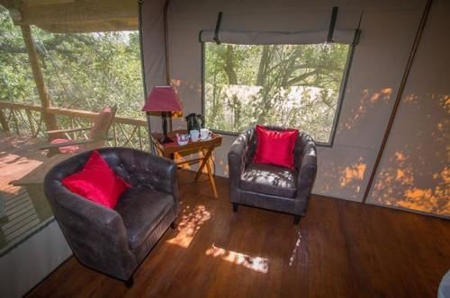 Lion Tree Top Lodge Hoedspruit Exteriör bild