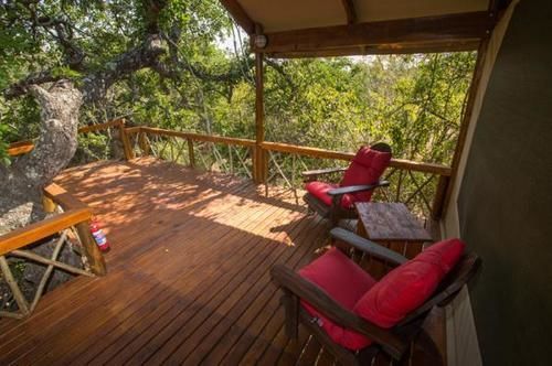 Lion Tree Top Lodge Hoedspruit Exteriör bild