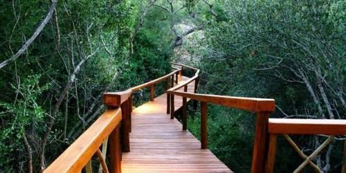 Lion Tree Top Lodge Hoedspruit Exteriör bild